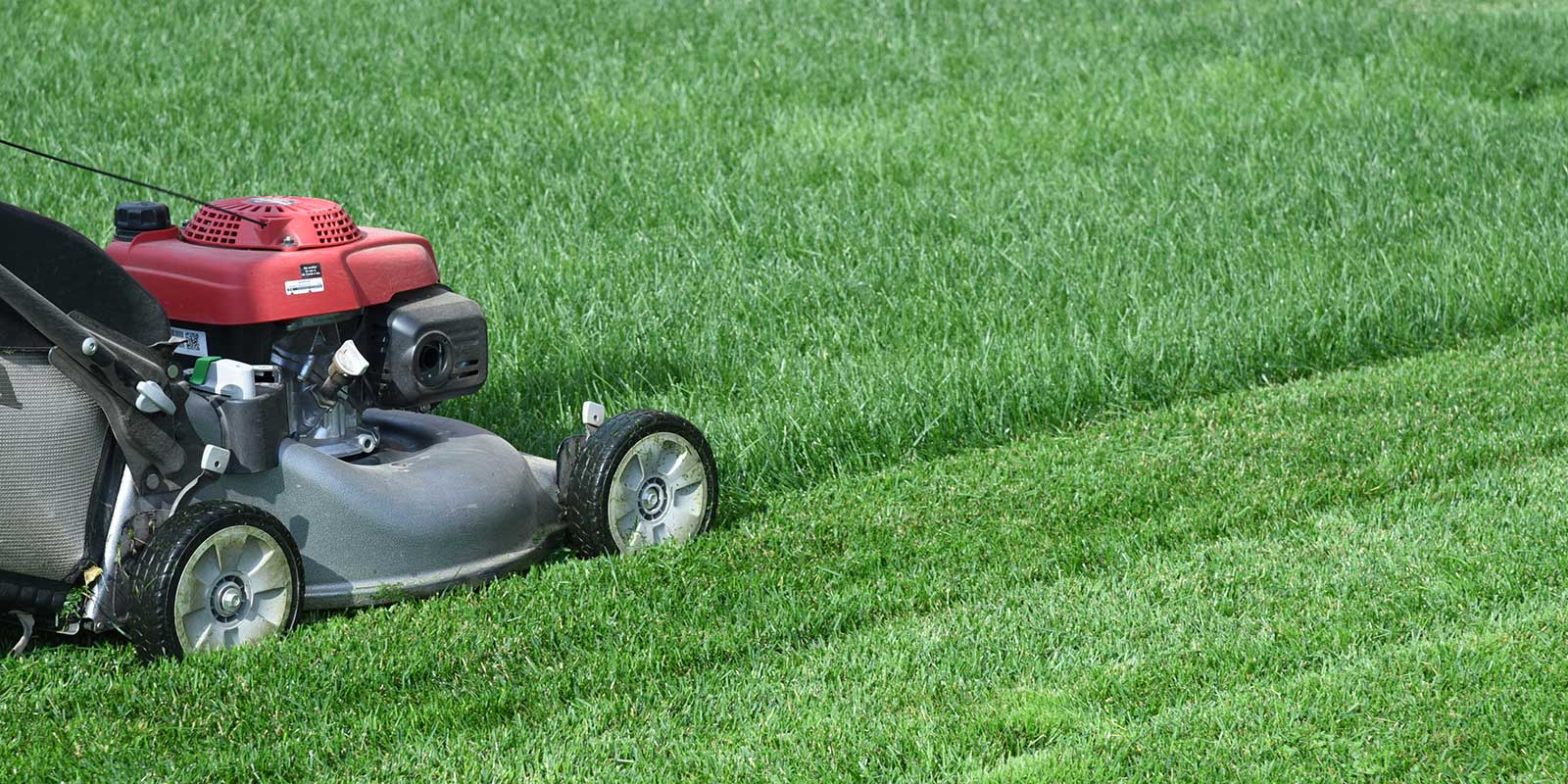Lawn Mower Mowing Green Grass