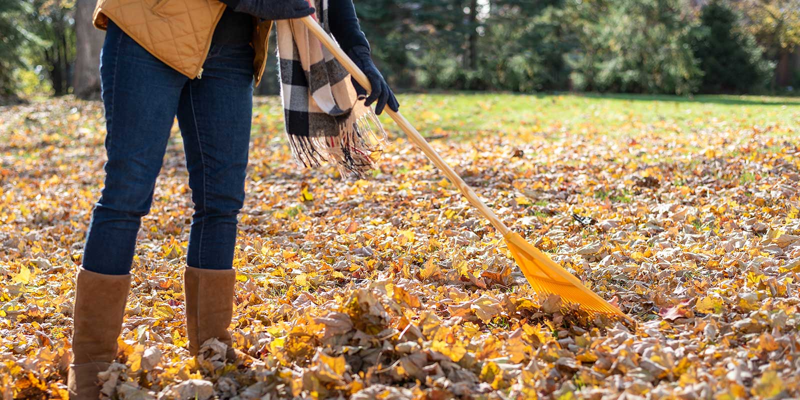 Blowing leaves - fall cleanup